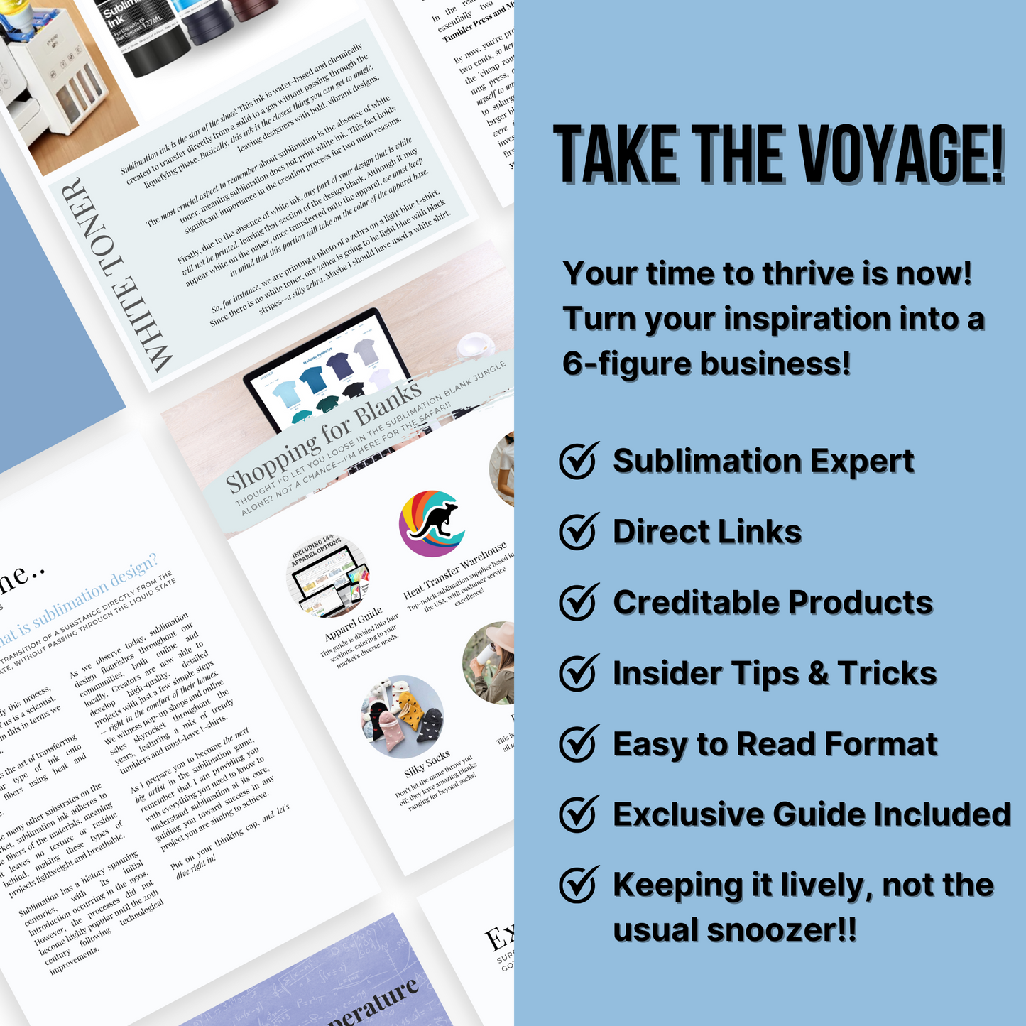 The SUBLIMATION Playbook - A Beginner's Guide to Complete Success!